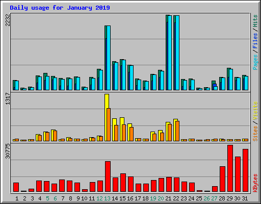 Daily usage for January 2019