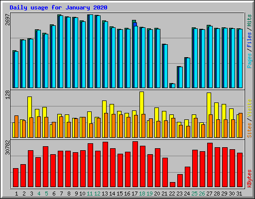 Daily usage for January 2020