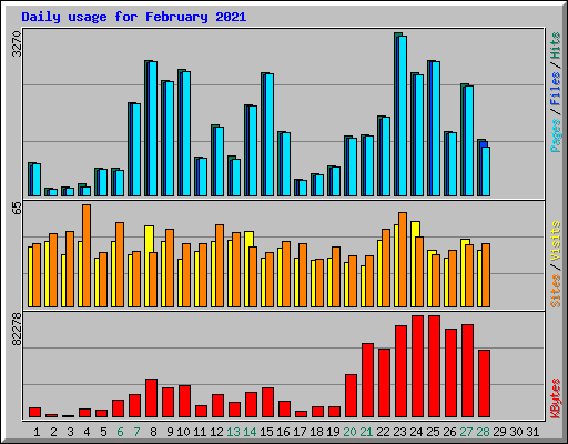 Daily usage for February 2021