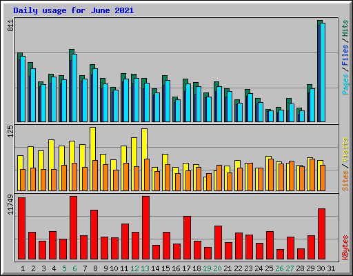 Daily usage for June 2021