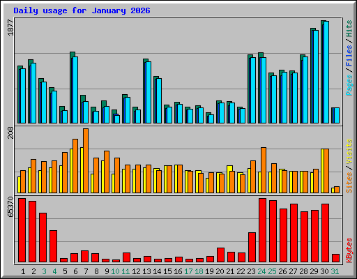 Daily usage for January 2026
