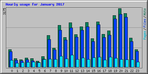 Hourly usage for January 2017