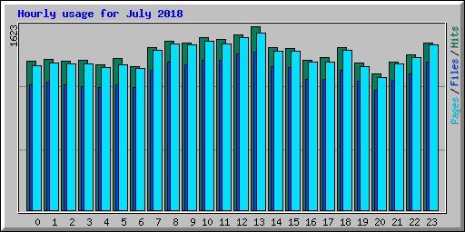 Hourly usage for July 2018