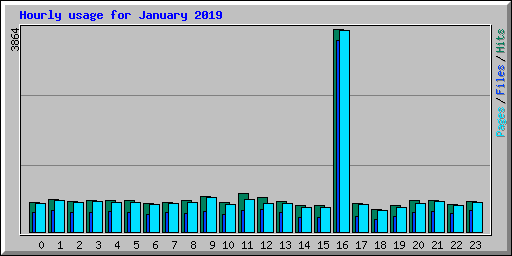 Hourly usage for January 2019