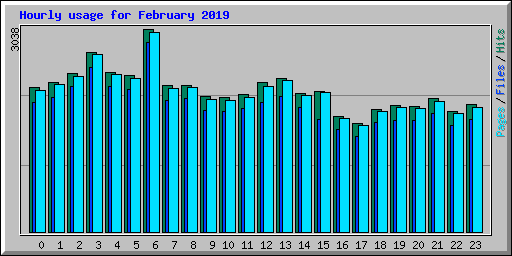 Hourly usage for February 2019