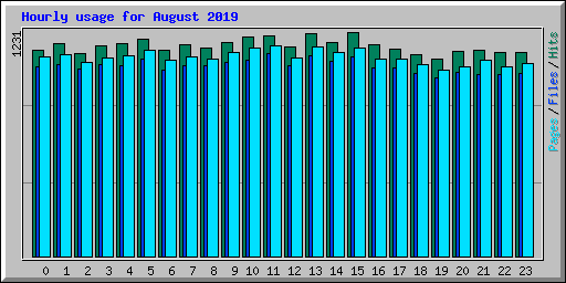 Hourly usage for August 2019