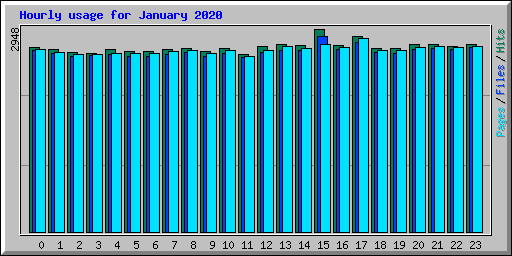 Hourly usage for January 2020