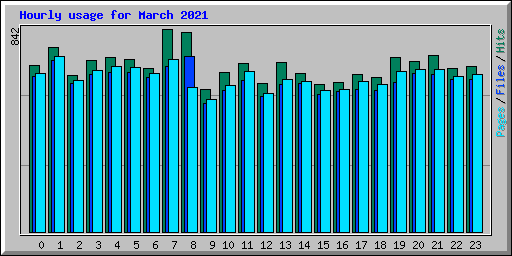 Hourly usage for March 2021