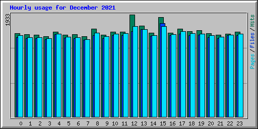 Hourly usage for December 2021