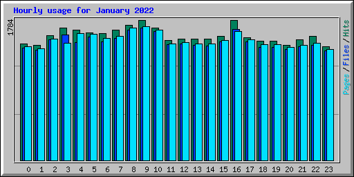 Hourly usage for January 2022