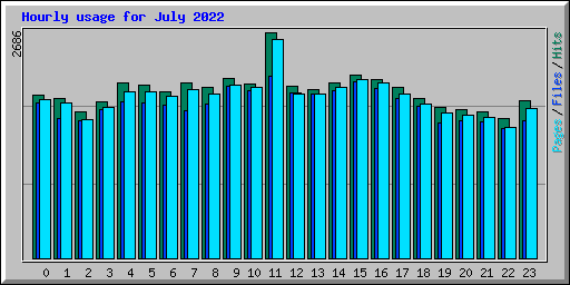 Hourly usage for July 2022