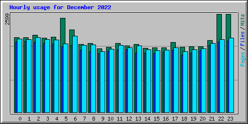 Hourly usage for December 2022