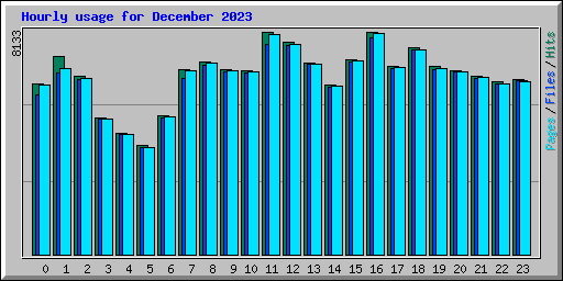 Hourly usage for December 2023