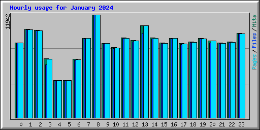 Hourly usage for January 2024