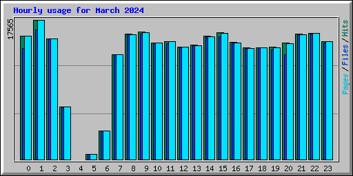 Hourly usage for March 2024