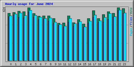 Hourly usage for June 2024