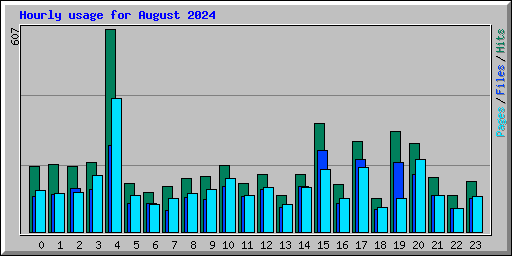 Hourly usage for August 2024