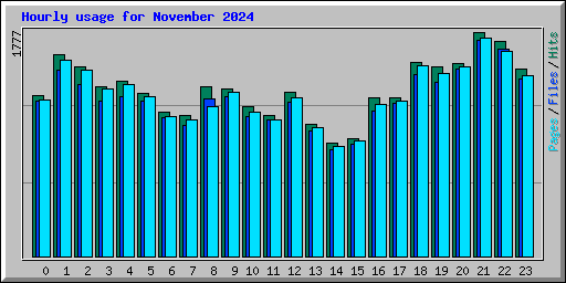 Hourly usage for November 2024