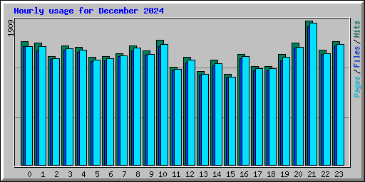 Hourly usage for December 2024