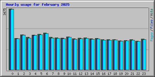 Hourly usage for February 2025