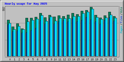 Hourly usage for May 2025