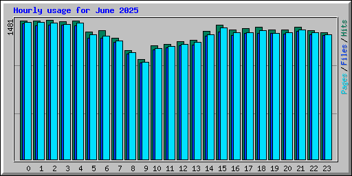 Hourly usage for June 2025