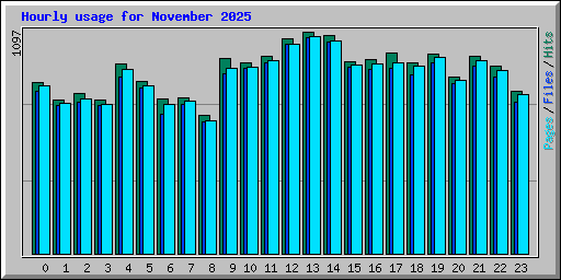Hourly usage for November 2025