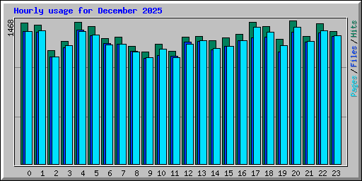 Hourly usage for December 2025
