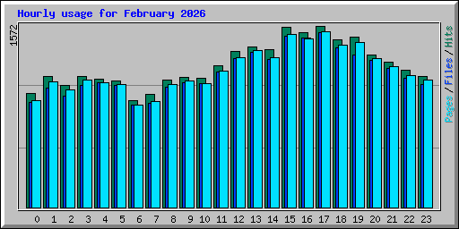 Hourly usage for February 2026