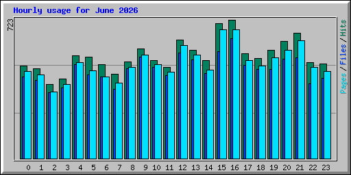Hourly usage for June 2026